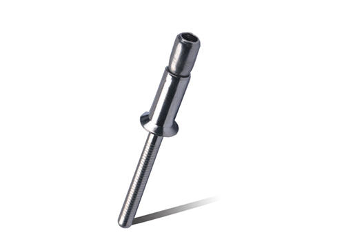 STAINLESS STEEL BODY AND STAINLESS STEEL MANDREL(NOW-LOCK CSK HEAD)