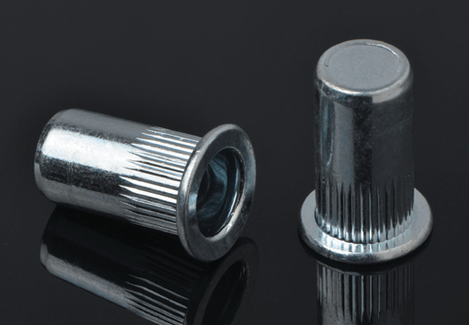 IRON MATERIAL ENCLOSED FLAT HEAD CYLINDRICAL VERTICAL PATTERN RIVET NUT