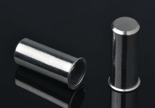 STAINLESS STEEL REDUCE HEAD ROUND BODY PLAIN RIVET NUT CLOSED END TYPE