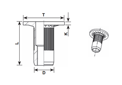 BIG FLAT HEAD SPECIAL RIVET NUT